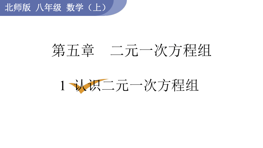 5.1 认识二元一次方程组  课件（共15张PPT）