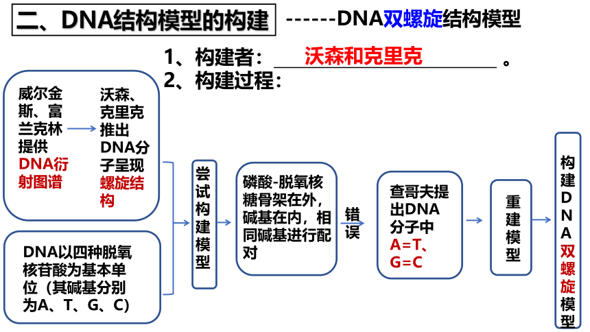 生物人教版（2019）必修2 3.2 DNA分子的结构课件(共42张PPT)
