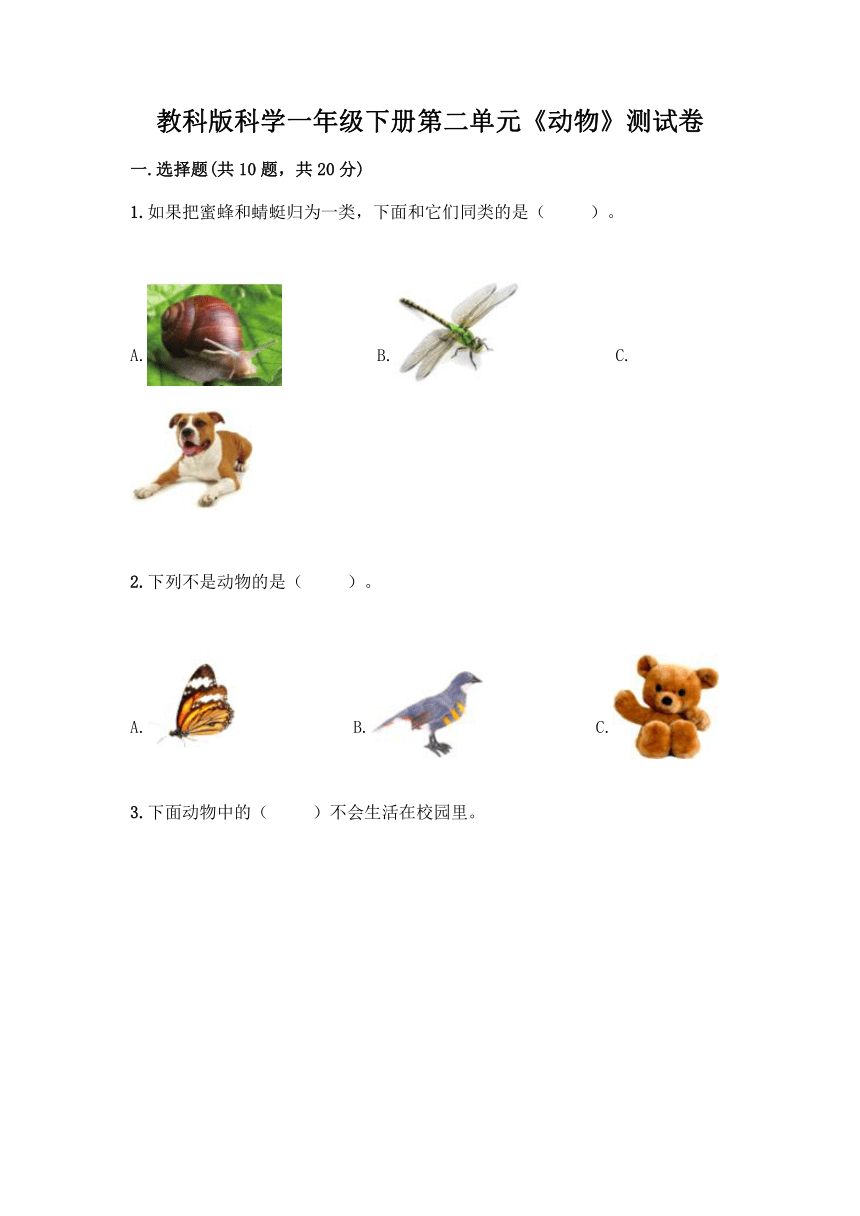 教科版（2017秋）科学 一年级下册 第二单元 动物 测试卷（含答案）