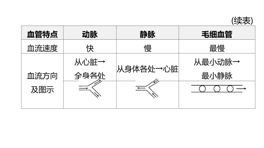 2022年浙江省中考科学一轮复习 第07课时　与人体代谢相关的系统-循环和泌尿（课件 54张PPT）