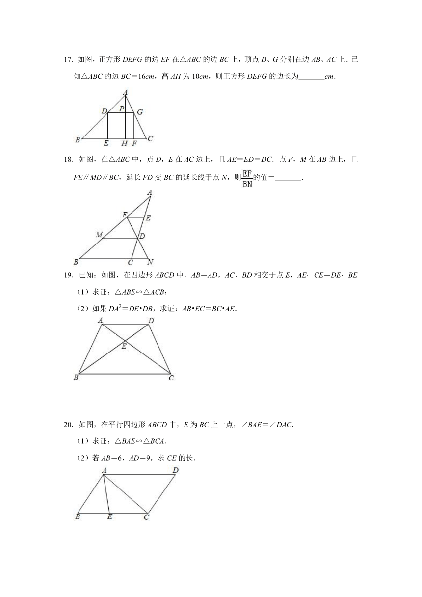 2021年春九年级数学中考一轮复习《相似三角形》自主复习达标测评（word版含解析）