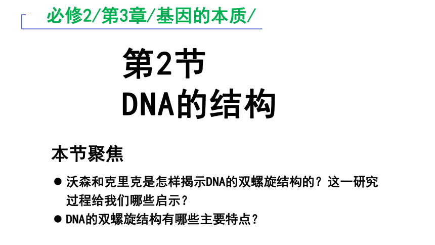 3.2 DNA的结构课件(共42张PPT)-2023-2024学年高一下学期生物人教版必修2