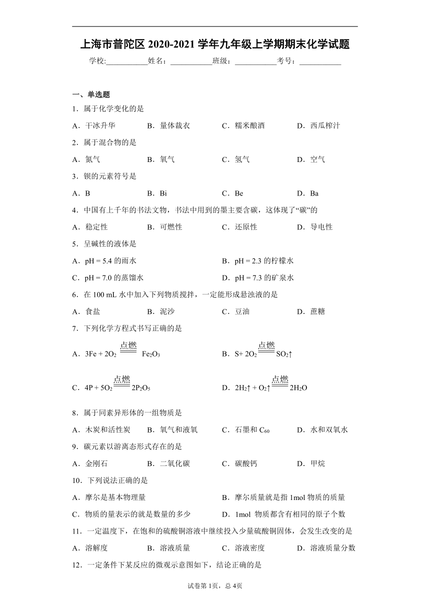 上海市普陀区2020-2021学年九年级上学期期末化学试题(含答案解析)