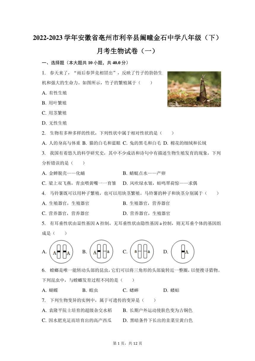 2022-2023学年安徽省亳州市利辛县阚疃金石中学八年级（下）月考生物试卷（一）（含解析）