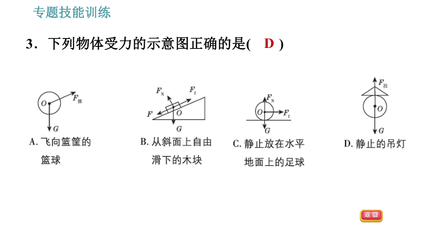 沪粤版八年级下册物理习题课件 第6章 专训（一）  三种力及力的示意图（14张）