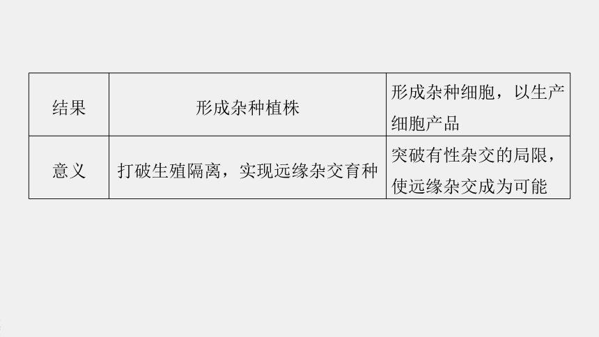 高中生物苏教版（2019）选择性必修3 生物技术与工程 第二章 第三节　第3课时　动物细胞融合技术及其应用（71张PPT）