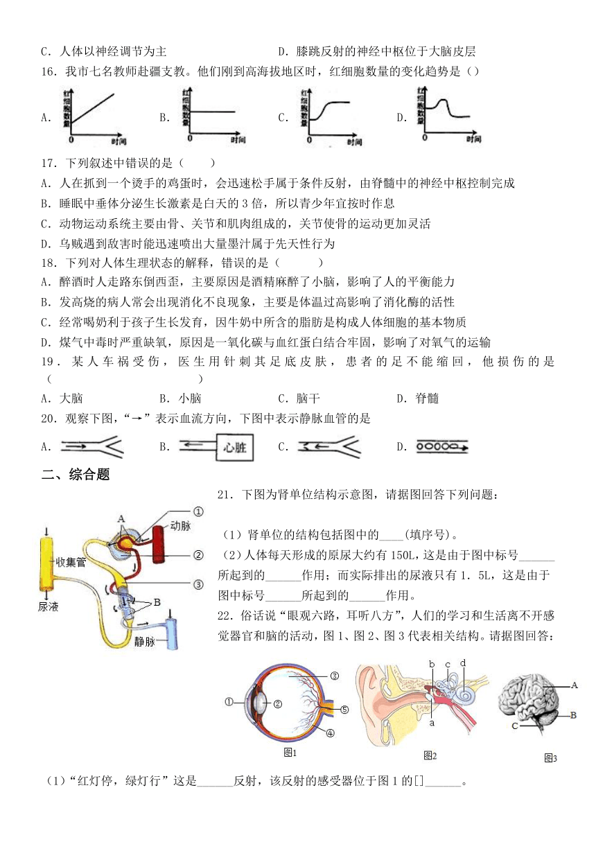 山东省菏泽市成武县育青中学2022-2023学年八年级上学期开学考试生物试题(word版  含答案）