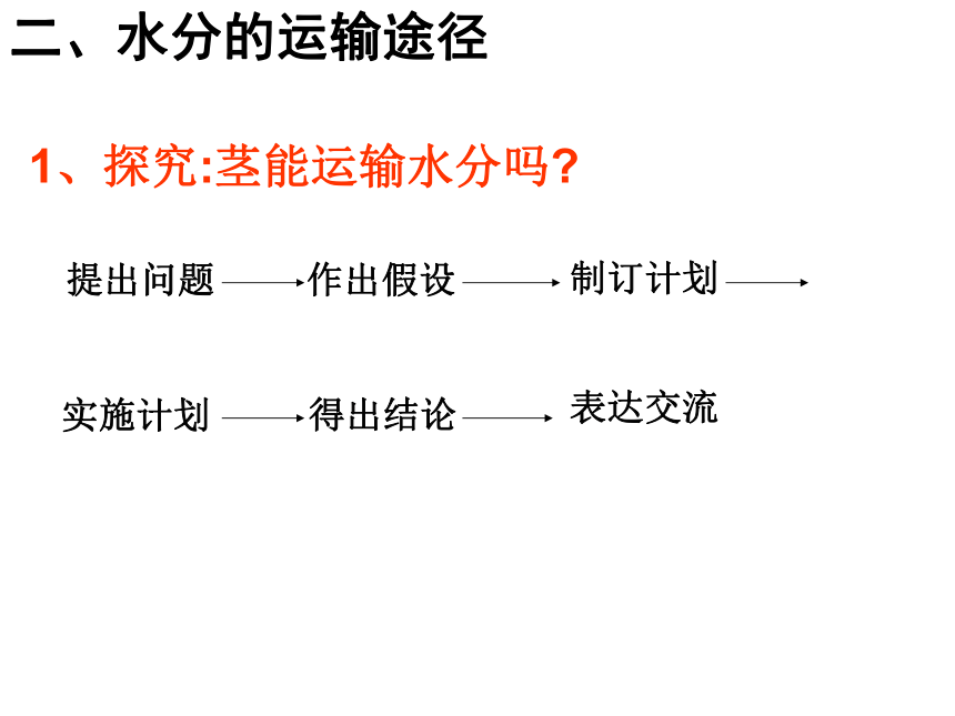 人教版七年级上册3.3  绿色植物与生物圈的水循环课件(共46张PPT)