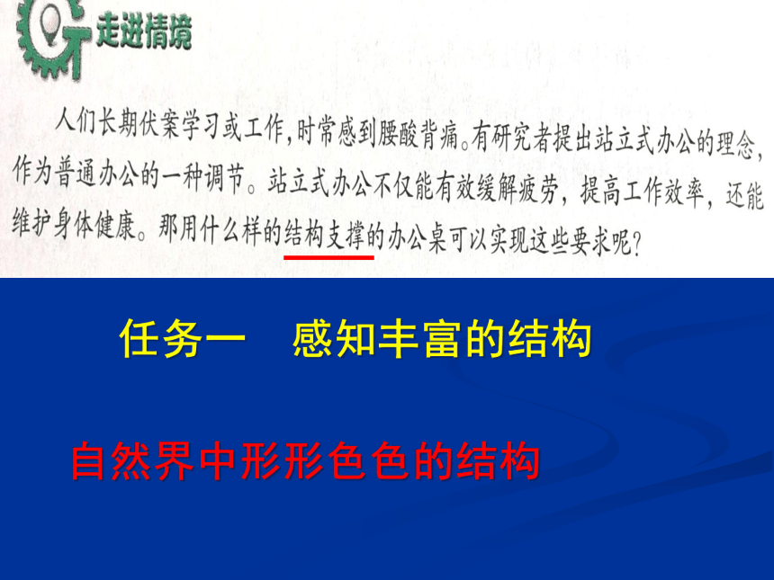 第一单元、结构及其设计、第一节、常见结构的认识 课件（95ppt）