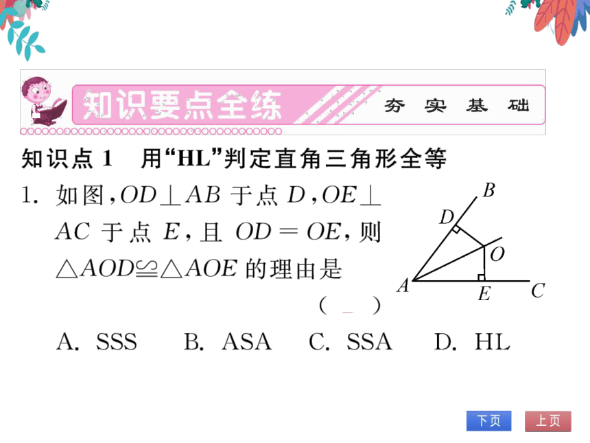 12.2第4课时用“HL”证两个直角三角形全等　习题课件