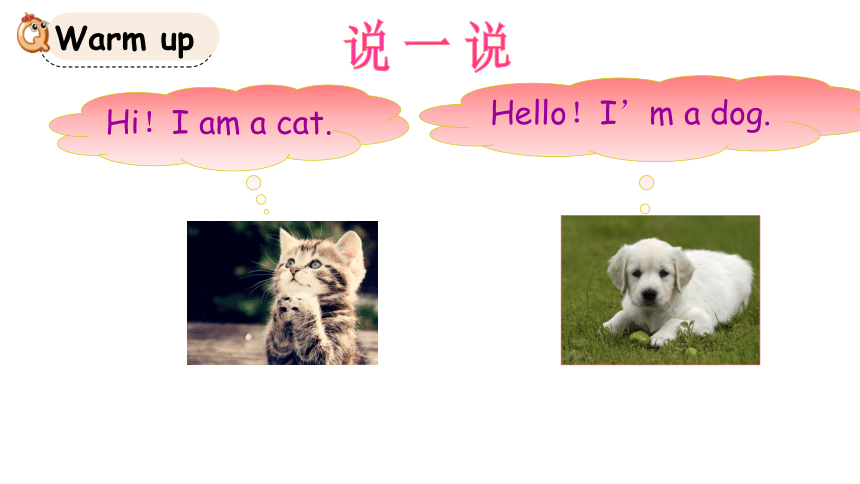 Lesson 1 I'm a cat 第3课时 课件(共11张PPT)