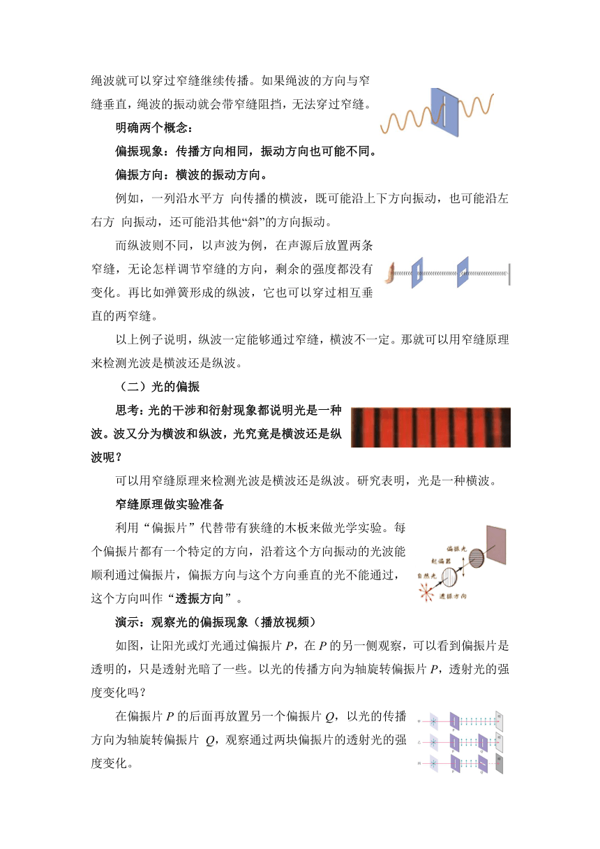 4.6光的偏振 激光 教案 高二上学期物理人教版（2019）选择性必修第一册