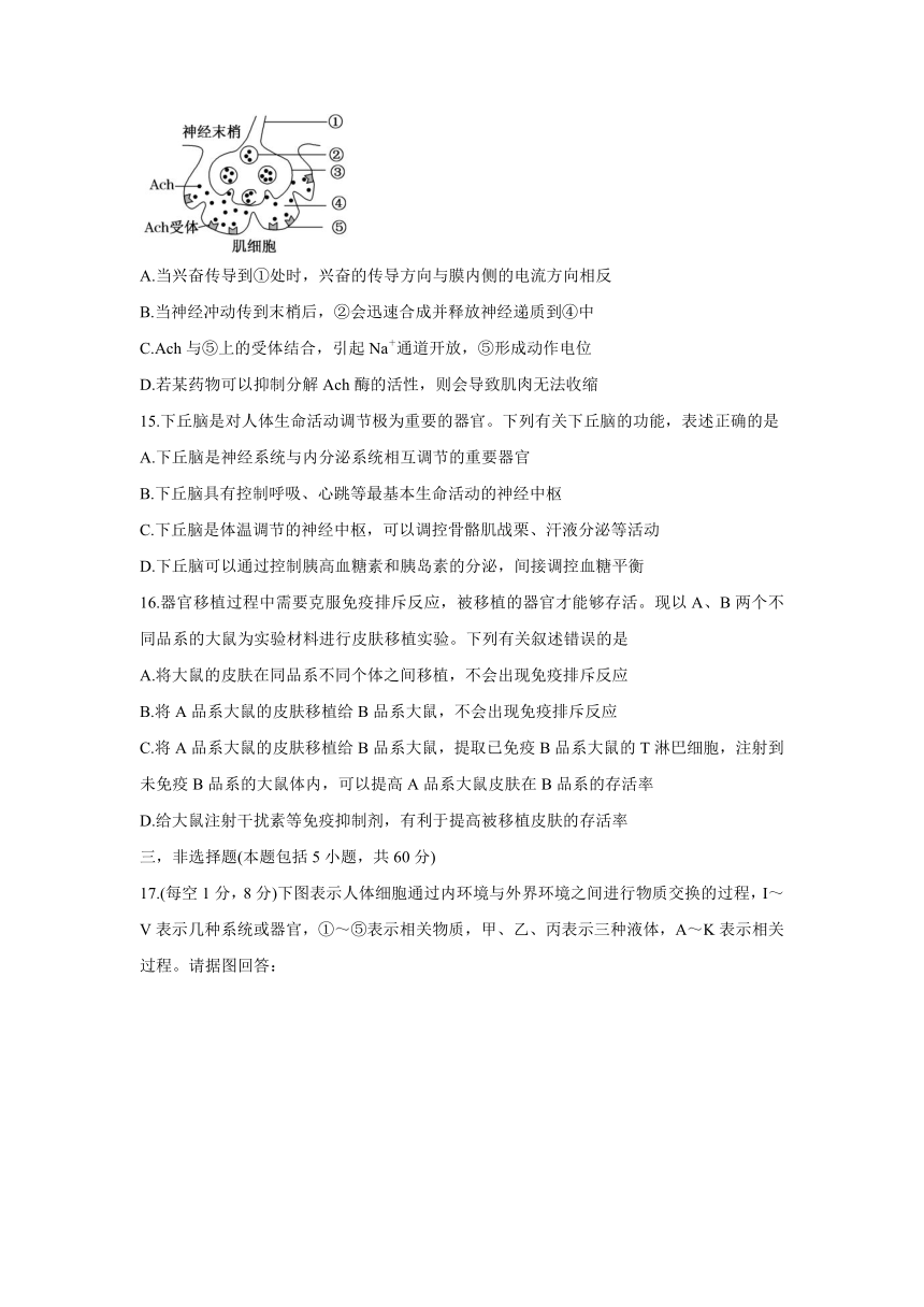 湖南省湖湘教育三新探索协作体2021-2022学年高二11月期中联考生物试题（Word版含答案）