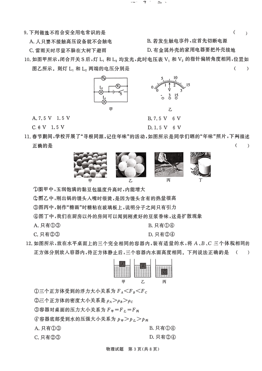 2024年山东省泰安市一中九年级中考一模考试物理试题（PDF版 无答案）