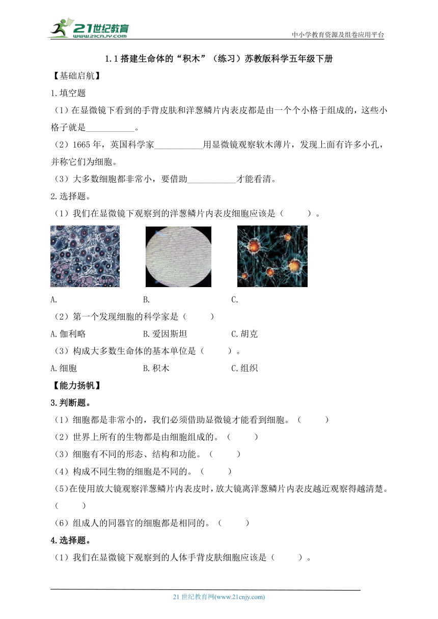 苏教版（2017秋）五年级科学下册1.1 搭建生命体的“积木”同步练习（含答案）