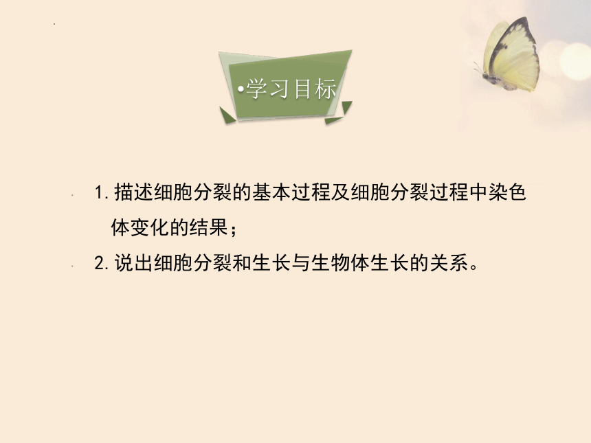 2022--2023学年人教版生物七年级上册2.2.1 细胞通过分裂产生新细胞课件（共24张PPT）