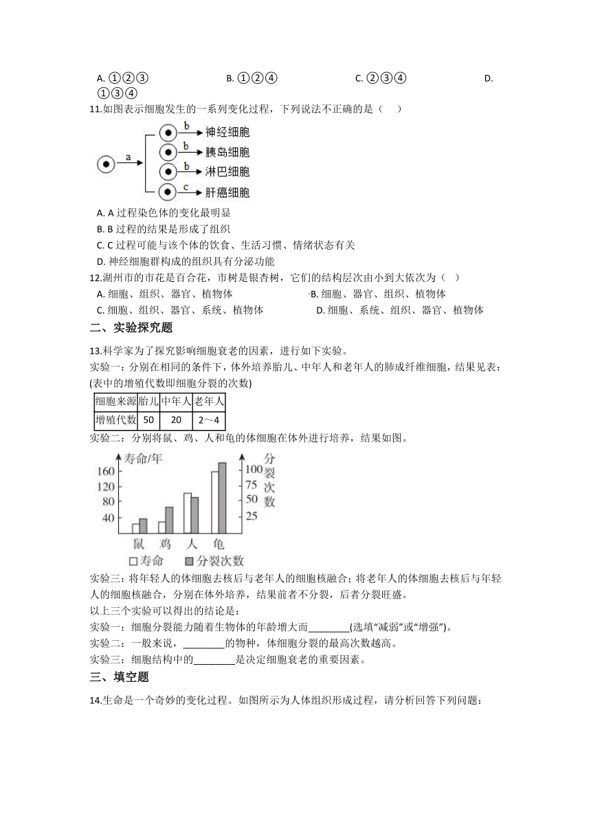 2.3生物体的结构层次 同步练习（含解析）