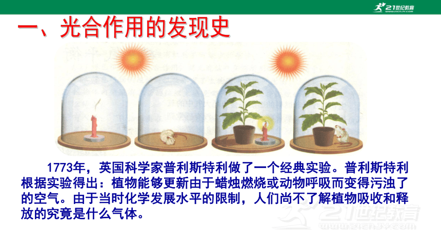 人教版七年级生物上册3.5.1 光合作用吸收二氧化碳释放氧气同步课件(共16张PPT)