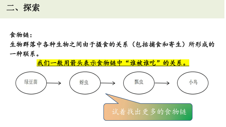 教科版（2017秋）五年级上册1.6食物链和食物网 课件(共24张PPT)
