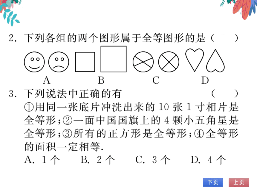【沪科版】数学八年级上册 14.1全等三角形 习题课件
