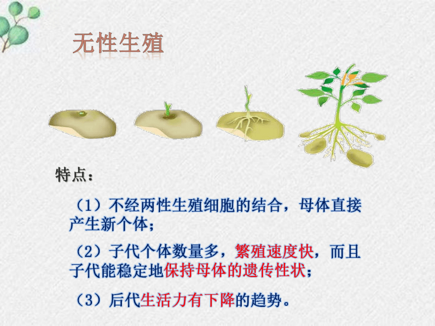 19.3植物的生殖方式课件(共20张PPT)