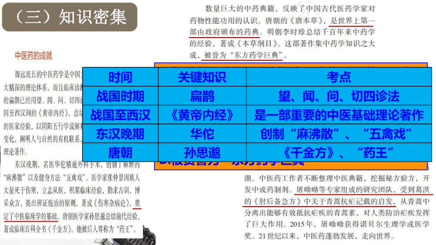 大概念引领下的教材回归 一轮复习课件（49张PPT）