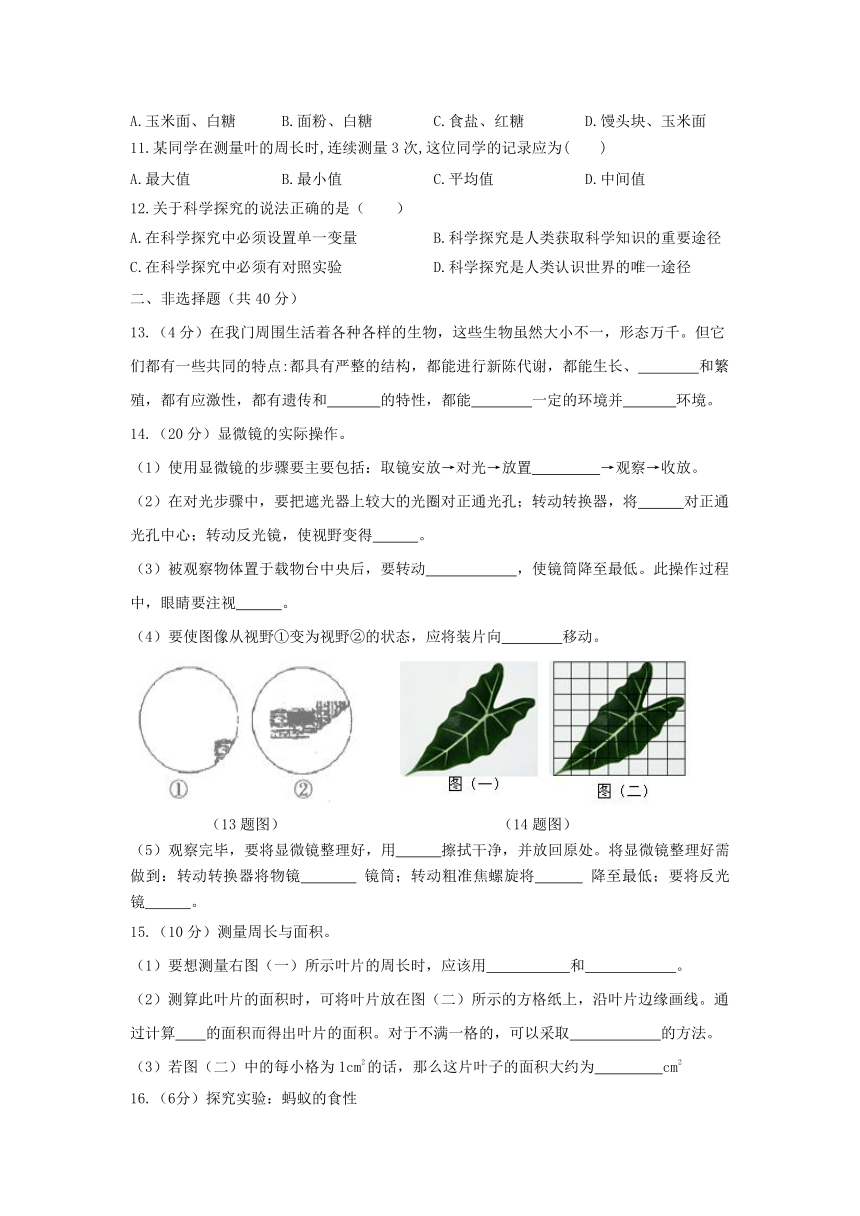 【期末复习】生物七上第1章《开启生物科学之门》单元基础卷（含 答题卡+答案）