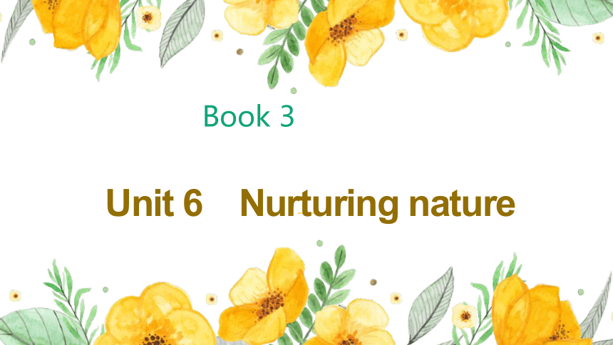 外研版（2019）选择性必修第一册Unit 6 Nurturing nature 单词课件(12张ppt)