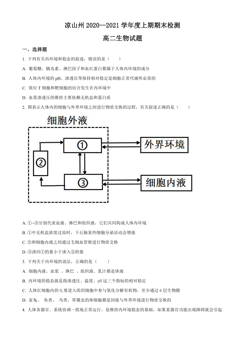 四川省凉山州2020-2021学年高二上学期期末考试生物试题     含答案