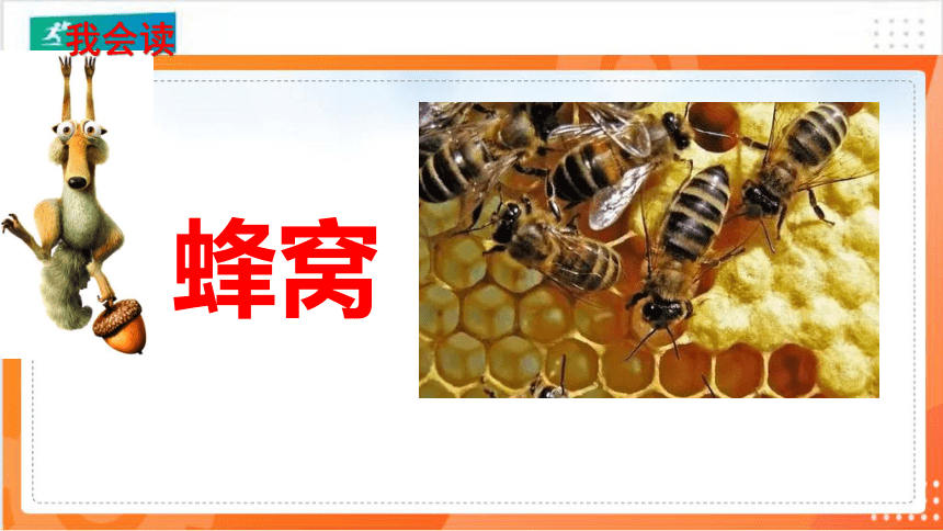 14蜜蜂   课件（共56张PPT）