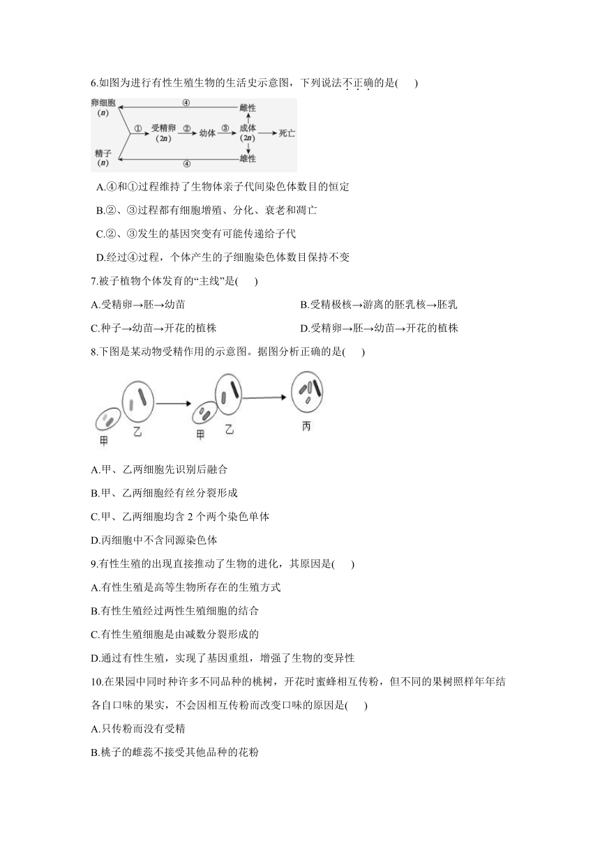 2021-2022学年高一生物苏教版必修二同步课时作业2.2有性生殖（word版含解析）