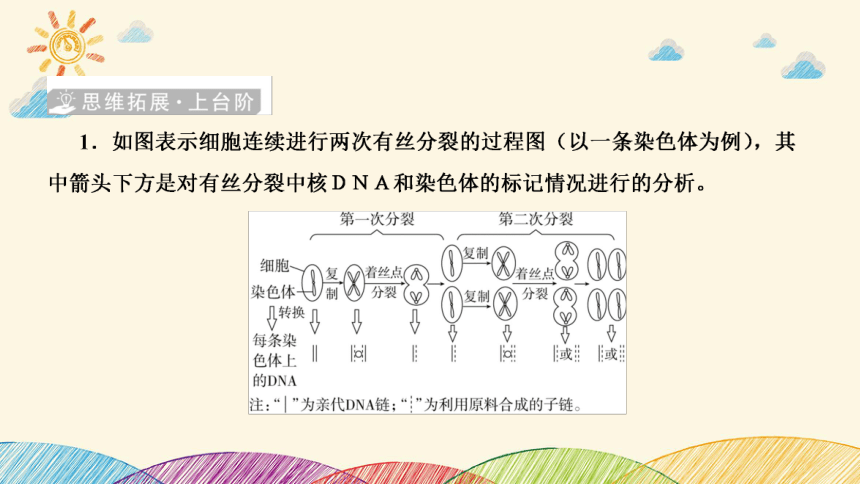 高考生物二轮重点讲练课件：科学思维之微专题2 结合同位素标记研究细胞分裂中的ＤＮＡ复制(共23张PPT)