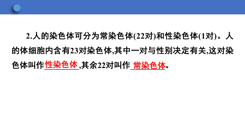 6.2.1 遗传 第3课时课件(共23张PPT)2023-2024学年初中生物冀少版八年级下册