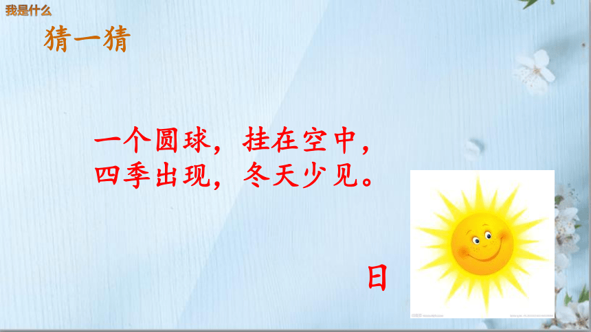 2 我是什么   课件(共34张PPT)