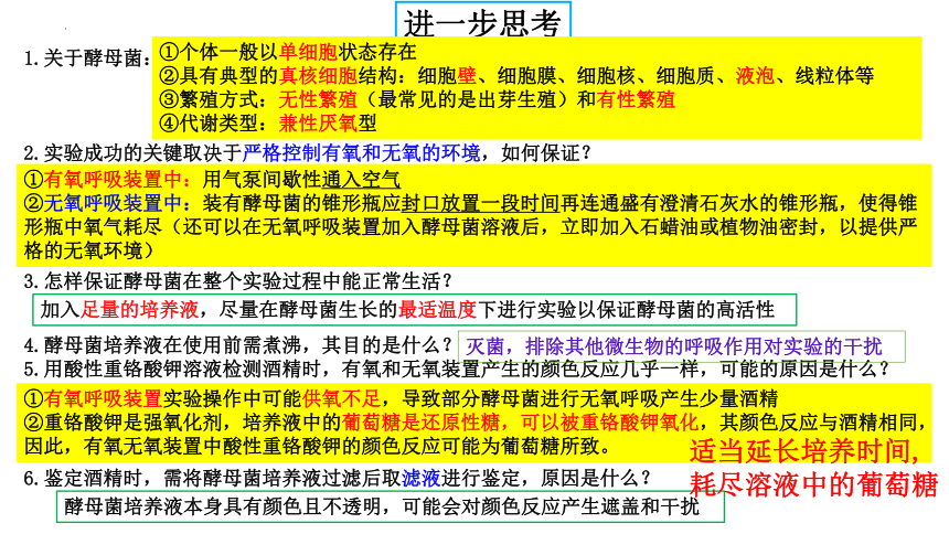 09 细胞呼吸-2024年高考生物一轮复习课件(共30张PPT)（新教材新高考）