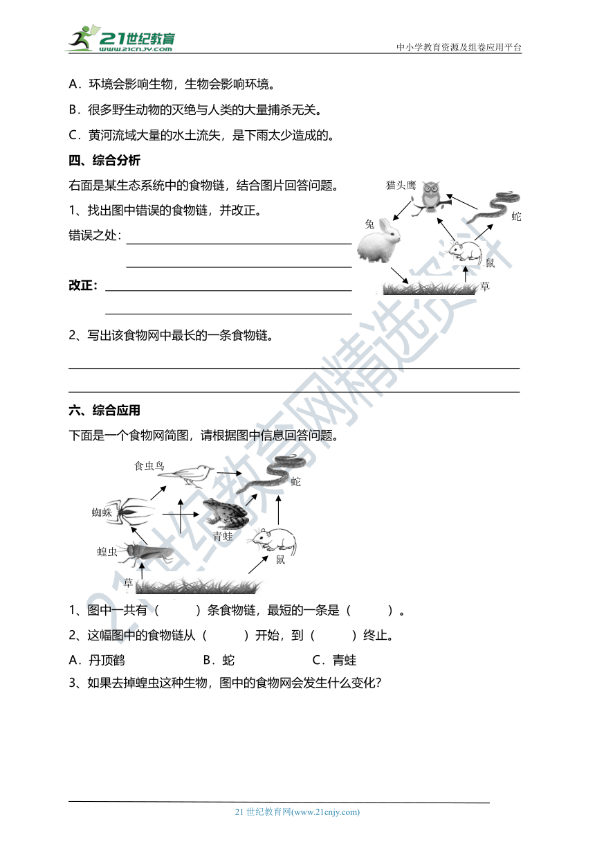 1.6食物链和食物网 试题（含答案解析）