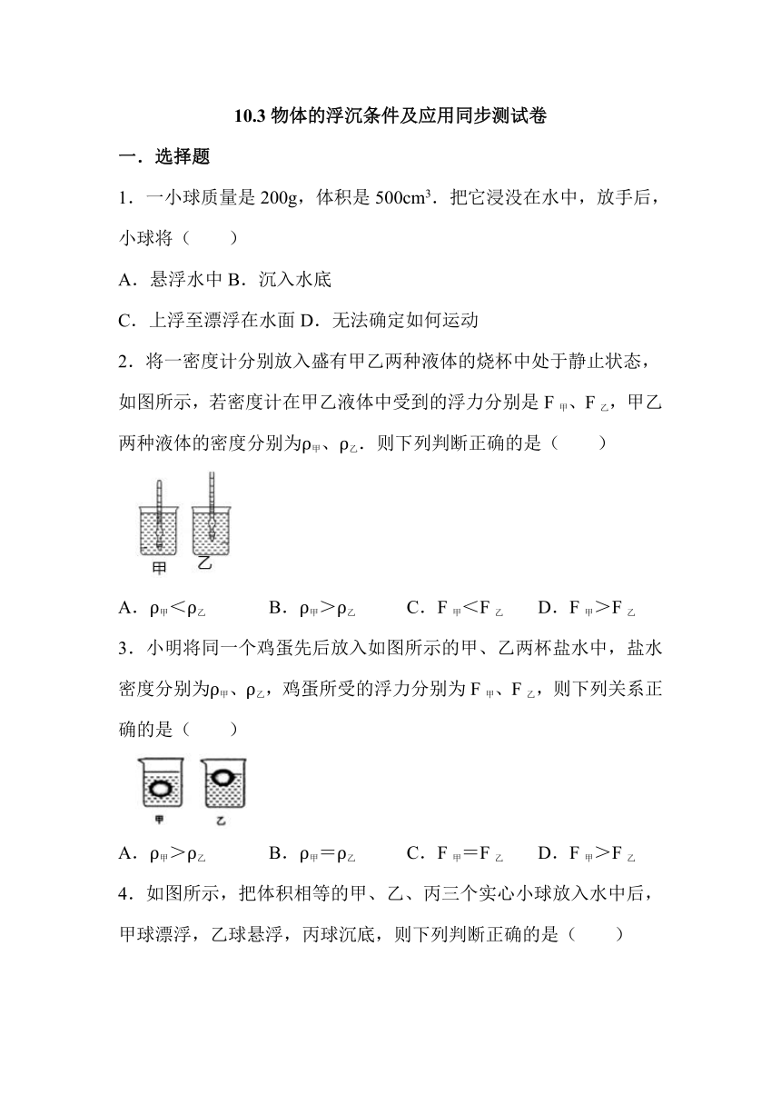 10.3物体的浮沉条件及应用同步测试卷无答案