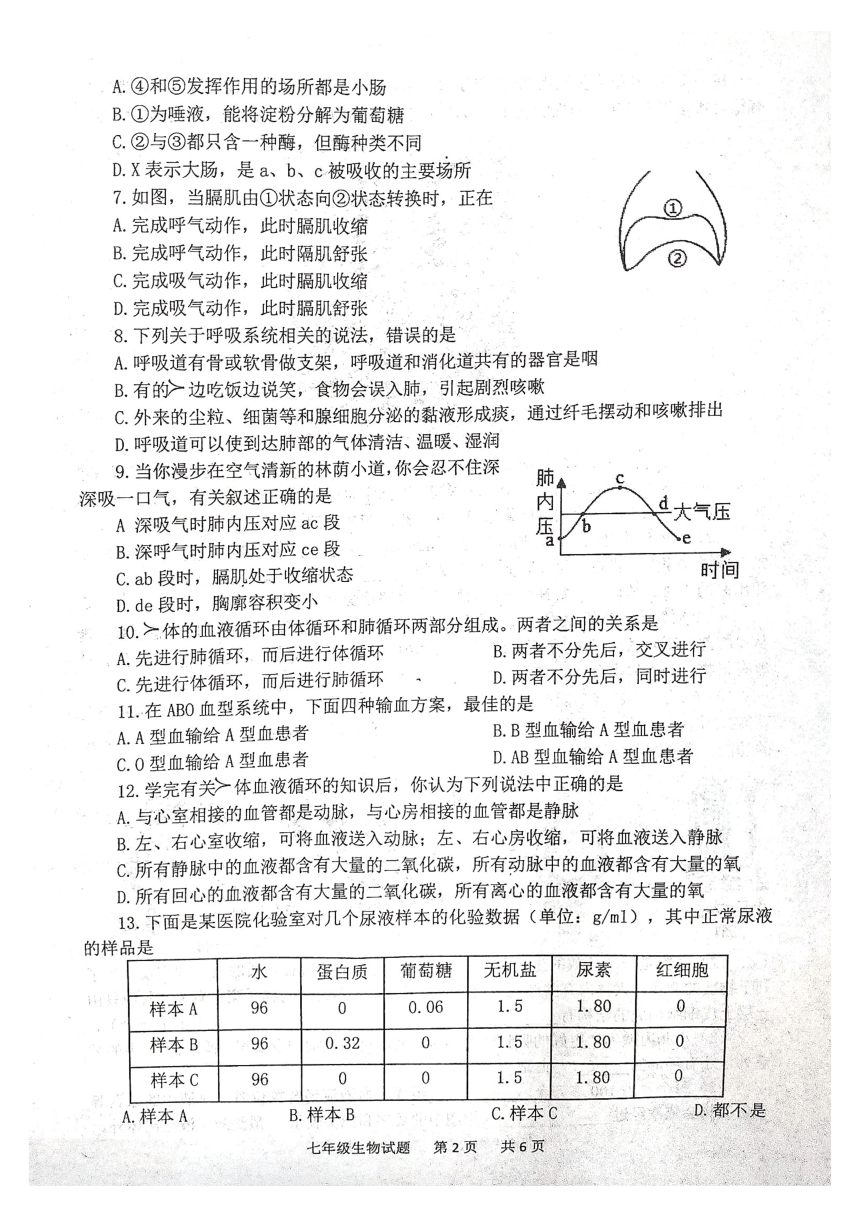 山东省泰安市宁阳县期末生物试题（pdf版无答案）2022-2023学年七年级上学期