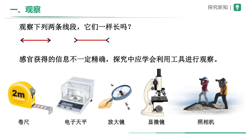 1.1.1 生物的特征（教学课件）-2023-2024学年七年级生物上册精品资源包 课件（人教版）(共23张PPT)