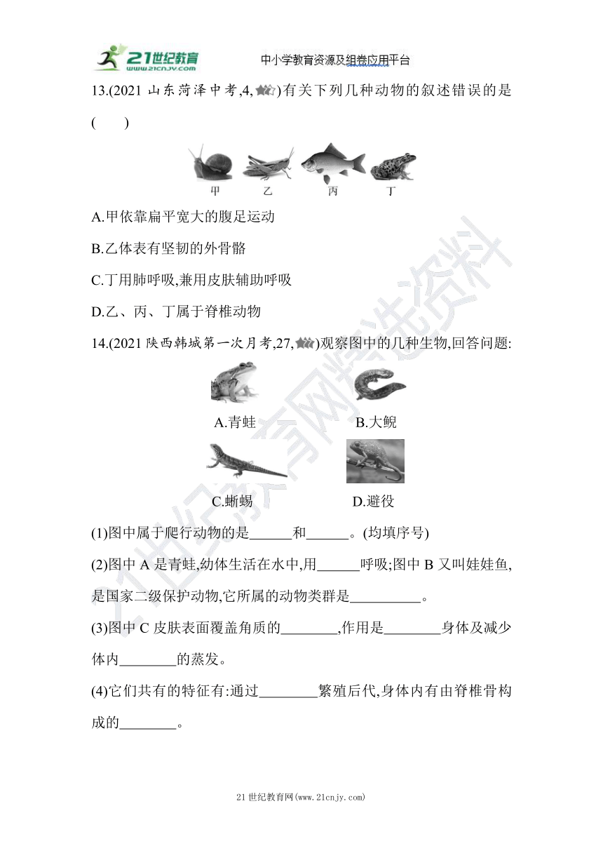 5.1.5两栖动物和爬行动物双减分层素养提升同步练习（含解析）