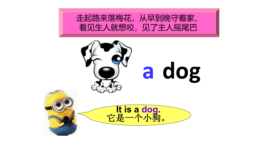 Unit3  Dog,elephant,fish and giraffe 第一课时课件