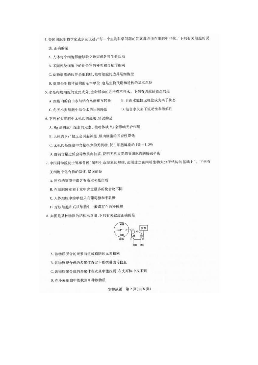 河南省濮阳市濮阳县一高2021-2022学年高一上学期期中考试生物试卷（扫描版含答案）