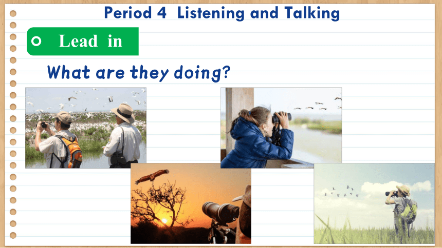 人教版（2019）必修第二册Unit2 Wildlife Protection Listening and Talking课件(共32张PPT，内镶嵌音频)