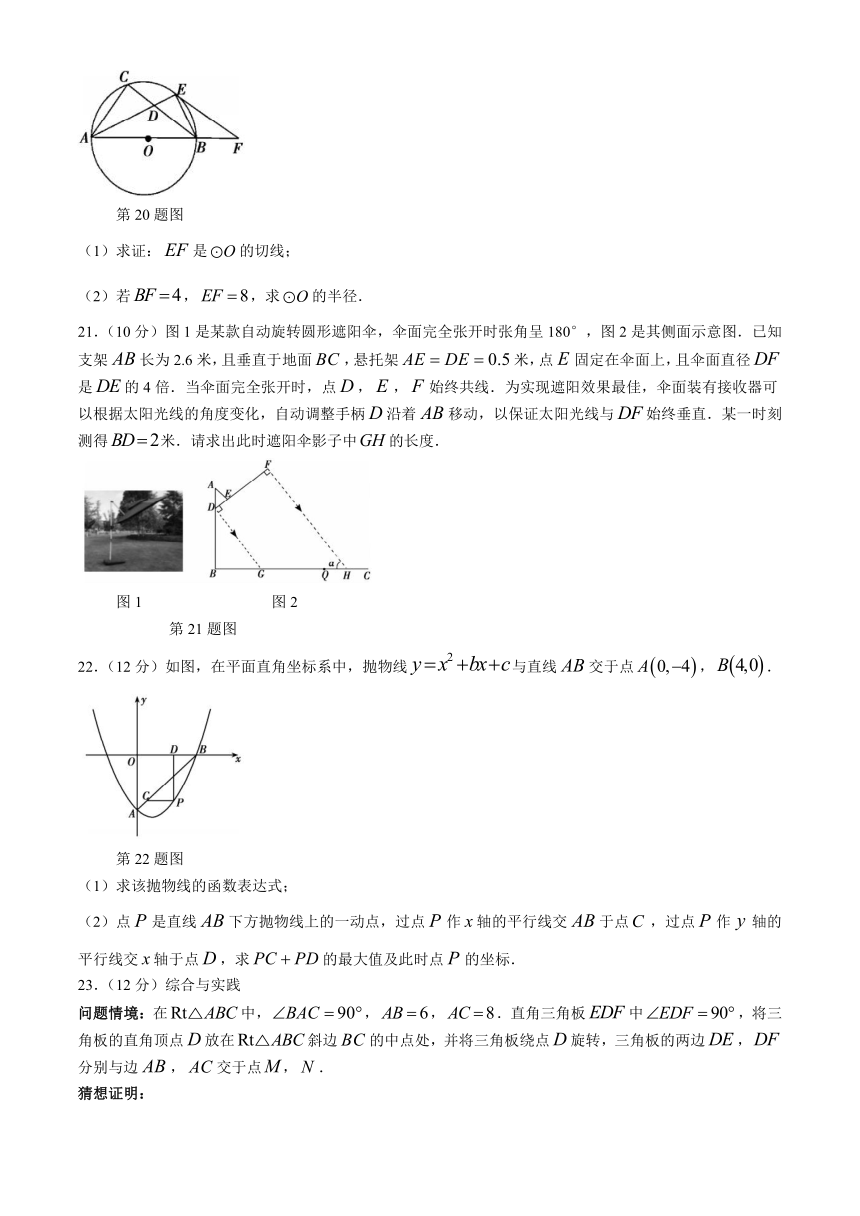 山东省临沂市河东区2023-2024学年九年级上学期期末数学试题（含答案）