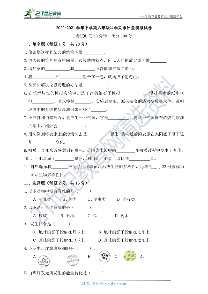 2020-2021学年下学期六年级科学期末质量模拟试卷（含答案）