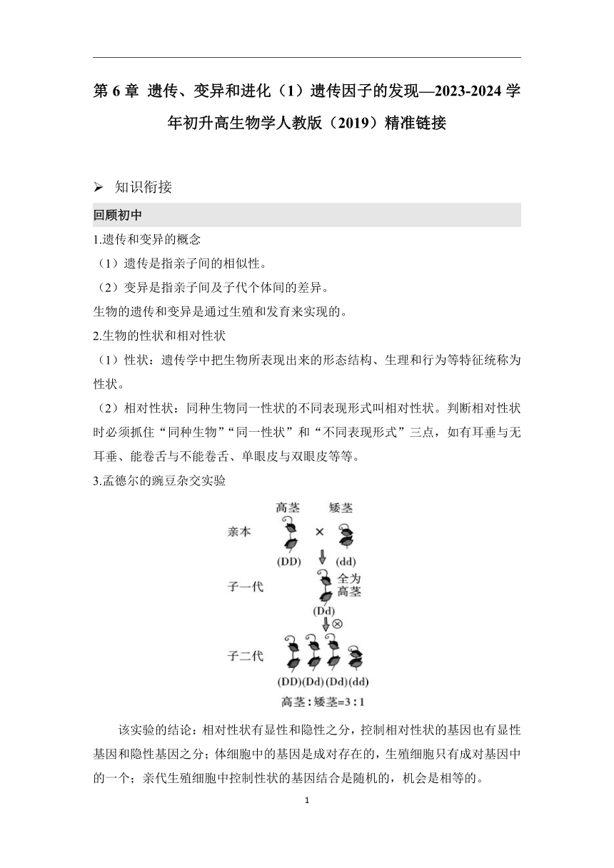 第6章遗传、变异和进化（1）遗传因子的发现学案（含解析）—2023-2024学年初升高生物学人教版（2019）精准链接