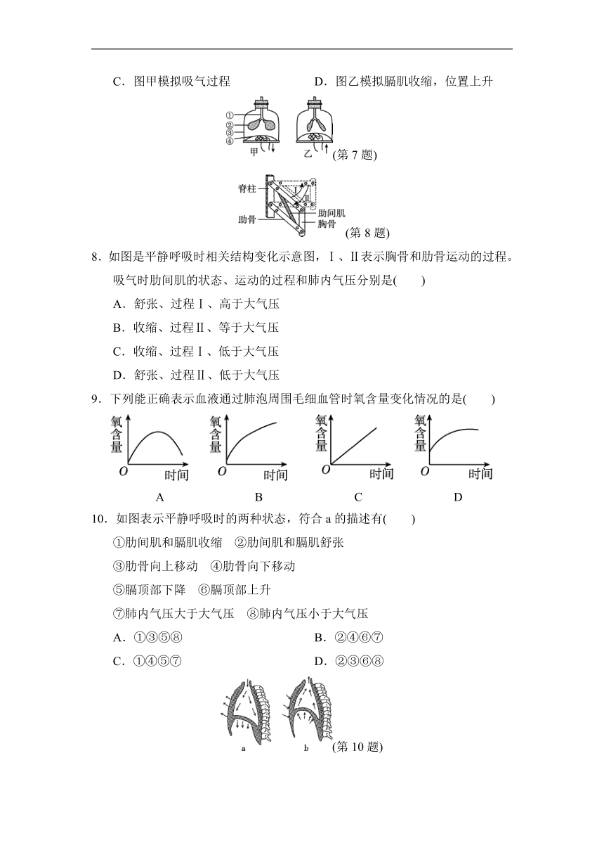 第四单元第三章人体的呼吸测试卷-2021-2022学年人教版七年级生物下册（Word版 含答案）