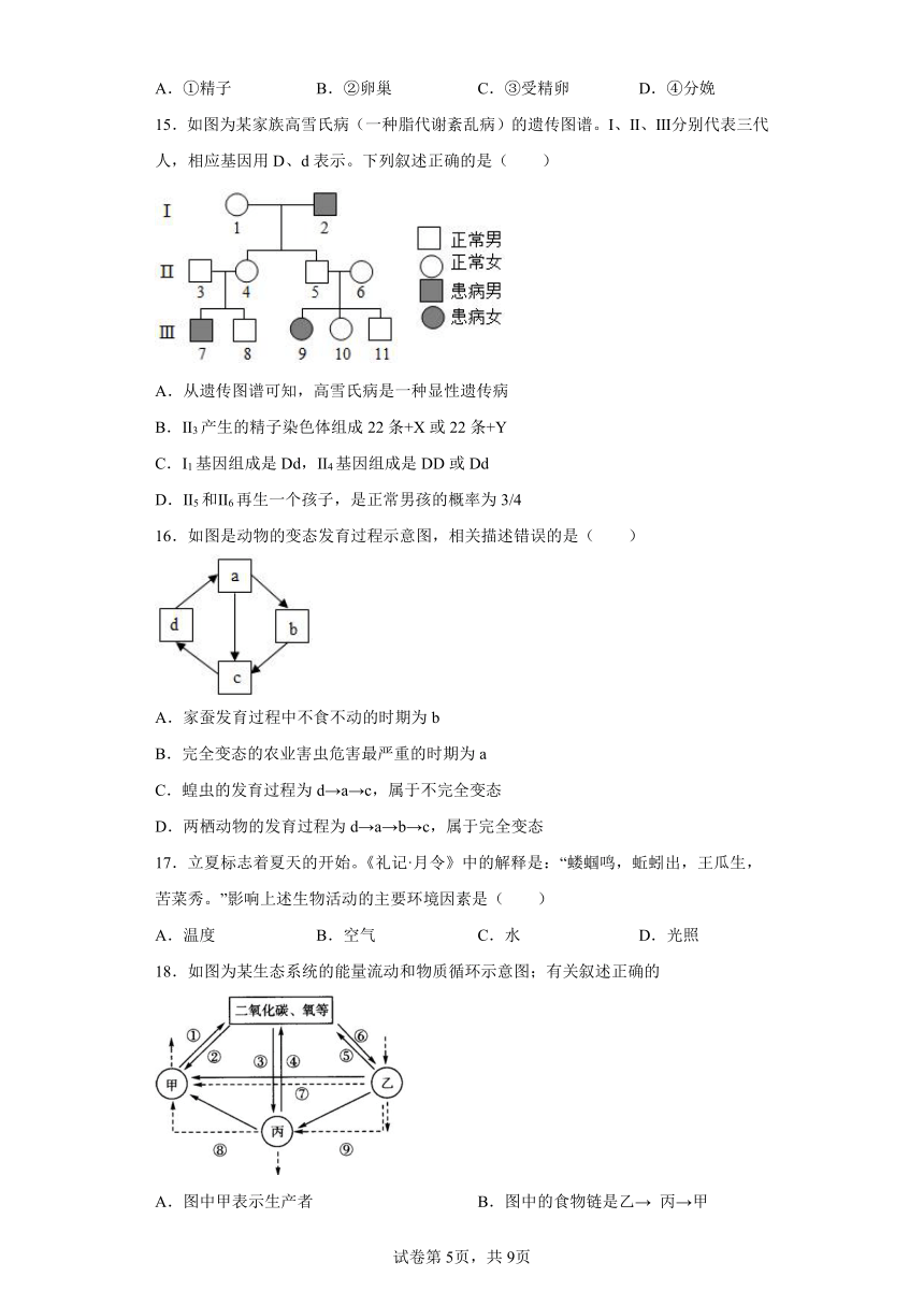 山东省菏泽市定陶区2021-2022学年九年级下学期期中生物试题(含答案)