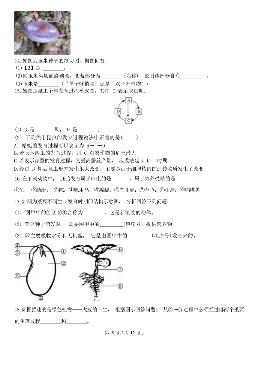 填空题1-期中分题型复习（第1章 代代相传的生命 含解析）