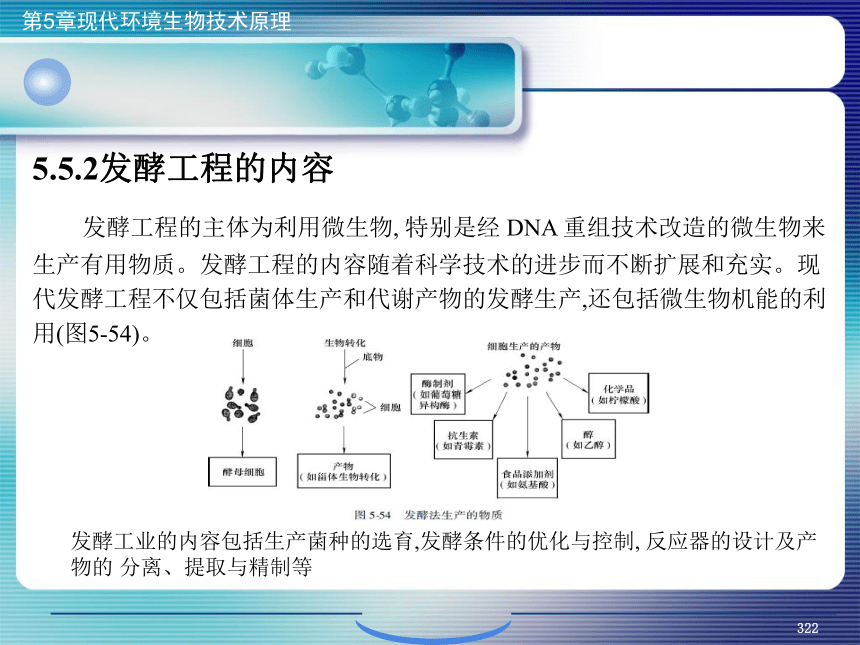 5.现代环境生物技术原理_12 课件(共41张PPT）- 《环境生物化学》同步教学（机工版·2020）